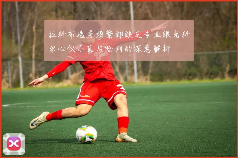 拉科布选秀频繁却缺乏专业眼光科尔心仪小瓦与哈利的深意解析